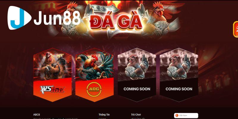 Các thông tin về sảnh đá gà Jun88 bạn nên biết